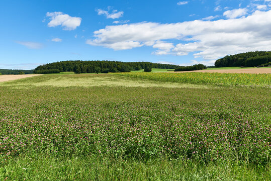 Schw&auml;bische Alb