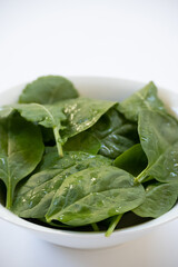 vertical plane with raw spinach dish