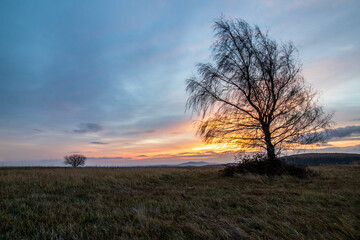 Obraz na płótnie Canvas sunrise in the field