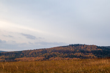 autumn landscape in the mountains