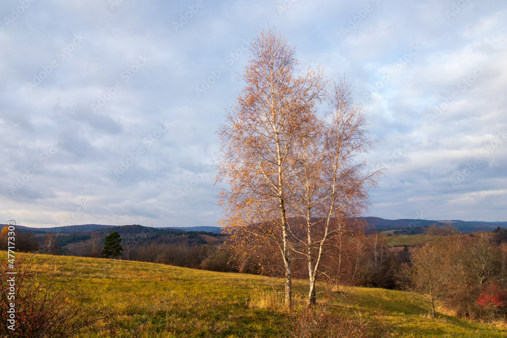 Canvas Prints autumn in the mountains