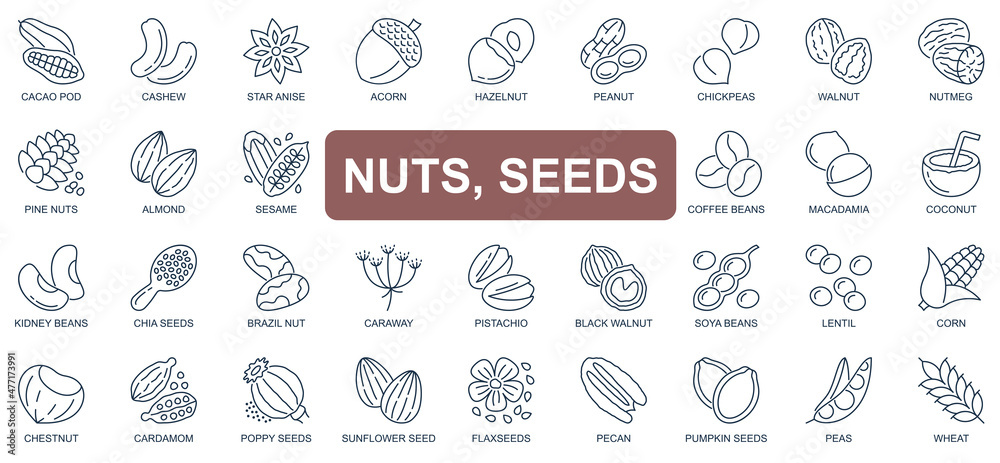 Poster nuts and seeds concept simple line icons set. pack outline pictograms of cacao pod, cashew, walnut, 