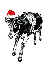 Vector cow in red Santa Claus hat isolated on white background,Christmas element,buchery