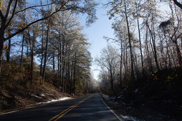 Obraz premium road in the woods