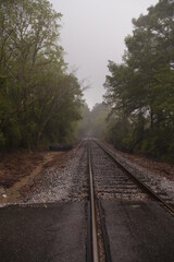 Fototapeta premium railway in the forest