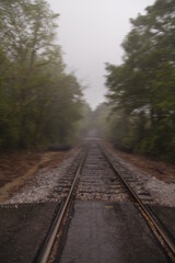 Fototapeta premium Train tracks in the woods