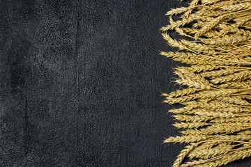 Wheat on a black background. View from above. Free space for text.