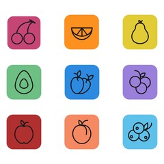 Set of nine icons with berries. Silhouette. Outline. Linear graphics. Doodles. Color. Background. Vector. Buttons.