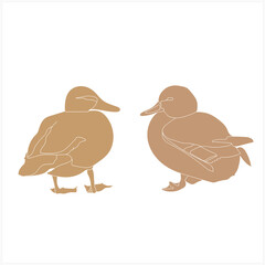 Wild ducks sketch.Image on white and colored background.Pattern.Vector.