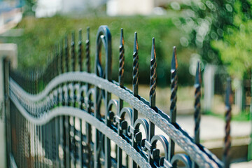 Forged metal patterned gates with prongs on top. Close-up