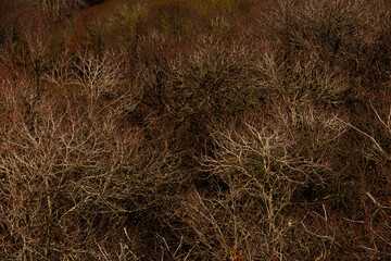 Roc du Miramont Landscape