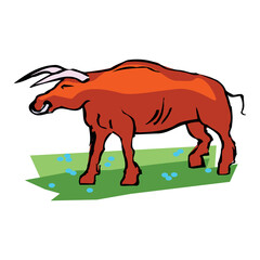 Bull on field label or badge. Farm meet logo. Natural food, organic product, locally grown. Cute and funny