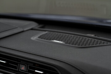 Obraz na płótnie Canvas Close up speaker on car door. Sound speaker in a modern car.