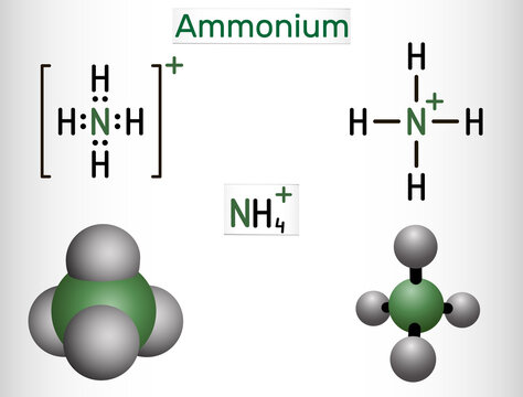 Ammonium cation, azanium molecule. It is positively charged polyatomic ion. Structural chemical formula and molecule model