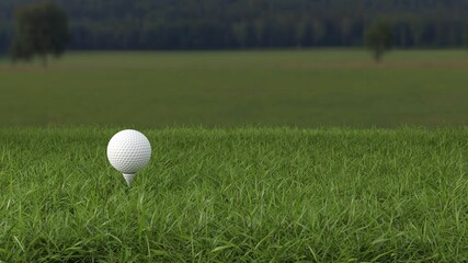 White golf ball and tee pin on green grass field selective focus as new beginning 3D rendering illustration