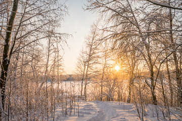 Winter landscape with sunrise. The path in the snow.