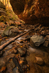 River runs through Parfrey's Glen