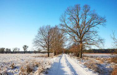 Beautiful winter rural landscape with country road covered with snow on a sunny day.