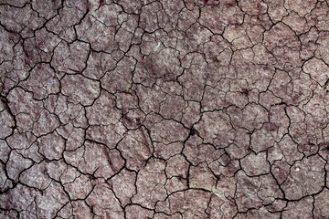 Soil cracked background. Dirt in dry season
