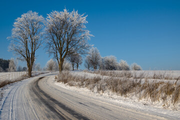 Obraz na płótnie Canvas Winter in Warmia Poland