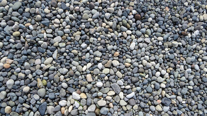 Pebbles on the Quadra Island beach