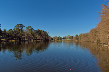 Fototapeta premium Bayou Desiard 