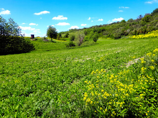 Farbenfrohe Frühlings-Landschaft in der Osteifel bei Polch auf dem Premiumwanderweg Traumpfädchen Paradiesweg Polch.