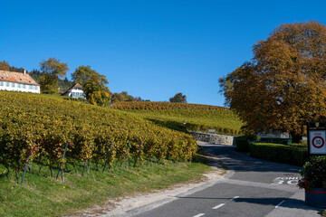 route du vignoble