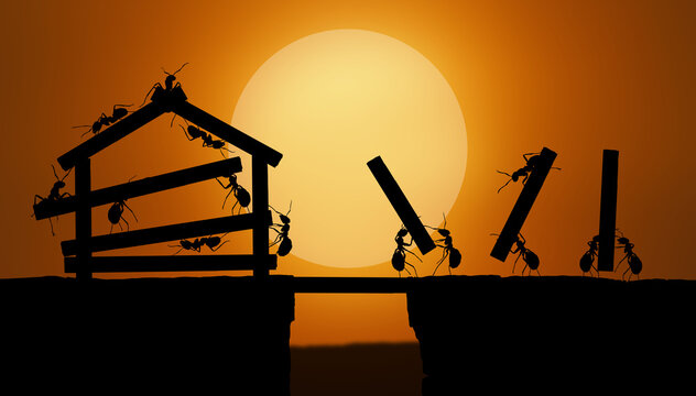 dark sun ants