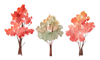 Watercolor autumn trees of yellow, red, orange color. Autumn forest. Watercolor art background. Beautiful splash of paint.