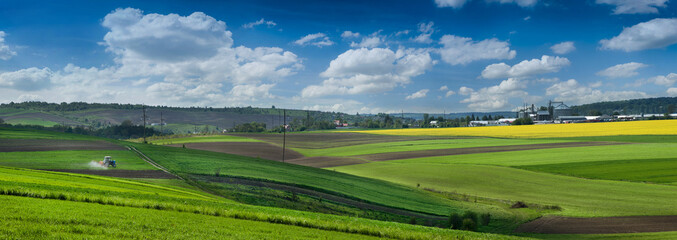 Obraz premium agricultural arable land, rapeseed, in the valley of a green field of winter wheat in early spring, lines, waves of fields