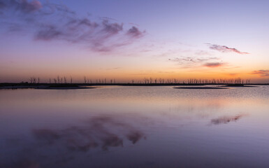 Plain colorful horizon and mirrored waters at sunset with some clouds and dry trees in Carhué, Buenos Aires, Argentina 
