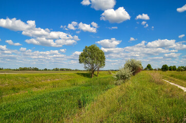 Fototapeta na wymiar landscape with sky and clouds