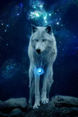 Deurstickers wolf huilt & 39 s nachts © Leanderson
