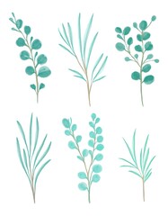 Watercolor floral illustration set - green leaf branches collection. For wedding, greetings, wallpapers, fashion, background. Eucalyptus, olive, green leaves.