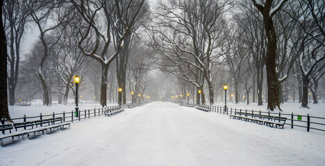 Central Park the Mall