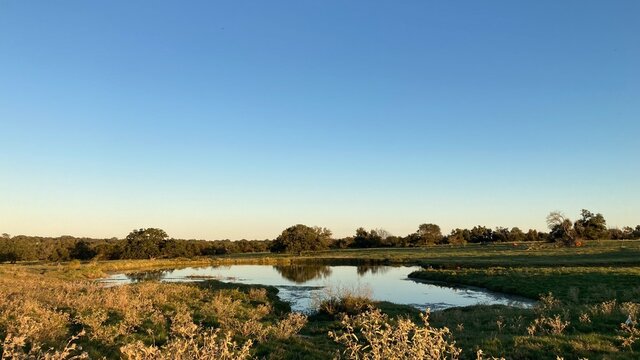sunrise over the river
