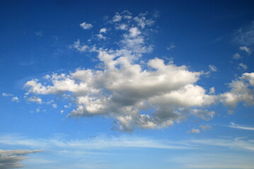 Obraz premium A whimsical white cloud. A small cumulus cloud floats in the light blue sky. It has an interesting shape, from above the cloud is white from below, light gray.