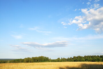 Obraz premium View from a high hill to the field and forest. A view opens onto a field with yellowed grass burnt out in the sun and a green forest. Above, there is a light blue sky with small white clouds.