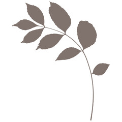 Botanical vector element silhouette leaf ecology nature