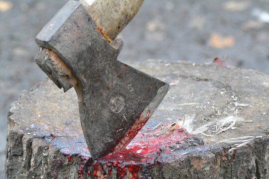 bloody ax after killing