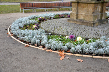 park bench in the shape of a circle or crescent. on the square with an ornamental flowerbed around...