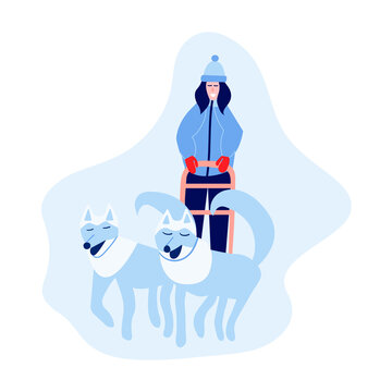 Woman musher riding dog sled team. Happy woman rides husky team dog sled. Vector stock illustration.