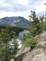 Naklejka na ściany i meble river in the mountains, Banff National Park, Alberta