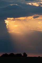 Coucher de soleil sur la campagne