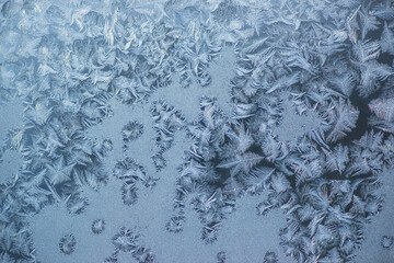 Frost Plumes on a Glass Panel