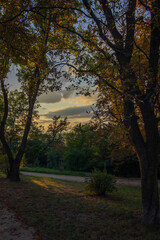 sunset in autumn park