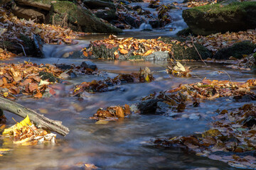colorful leaves and cascade on the creek in the autumn forest