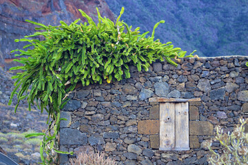 Poblado de Guinea, El Hierro