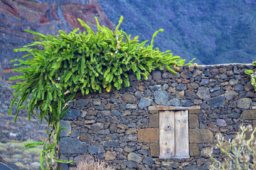 Poblado de Guinea, El Hierro